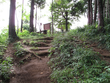 20171005hike (91)
